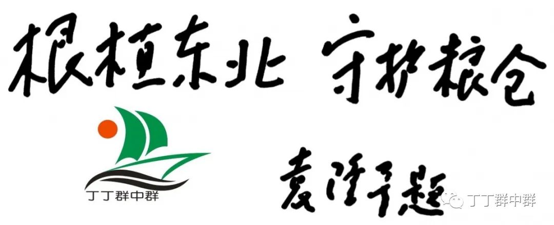 【水稻育秧大棚二次利用——稻草覆盖种植马铃薯】