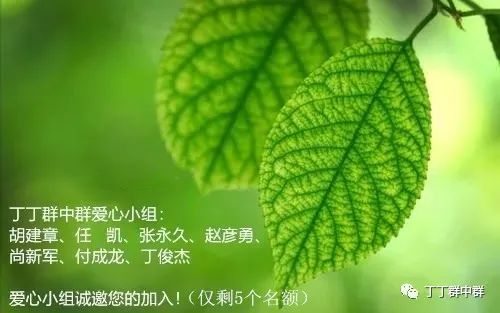 致富大棚种植洋芋好吗_大棚洋芋种植致富_致富大棚种植洋芋视频