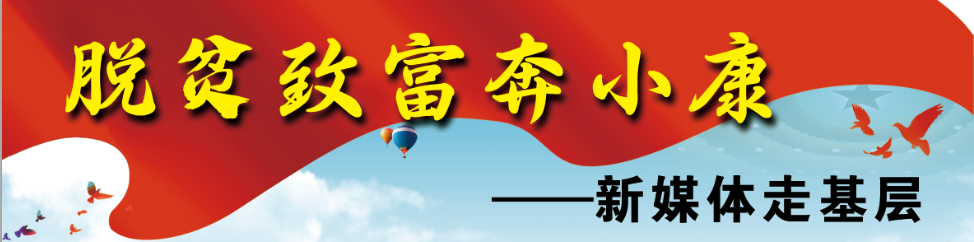 养殖用水井_致富养殖井水项目简介_井水养殖致富项目