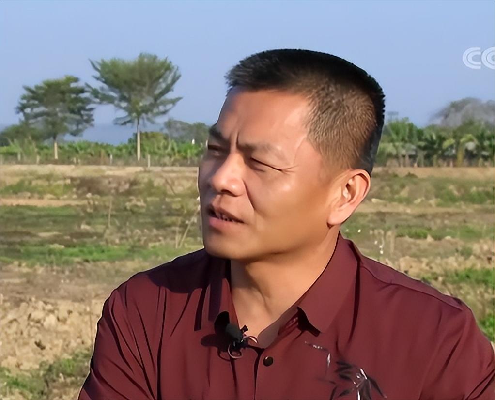 鹅养殖项目_养殖老鹅致富_鹅养殖前景