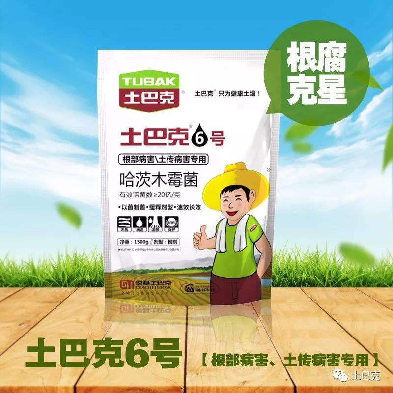 姜的种植技术视频播放_大姜种植技术视频大全_种植姜教学视频大全