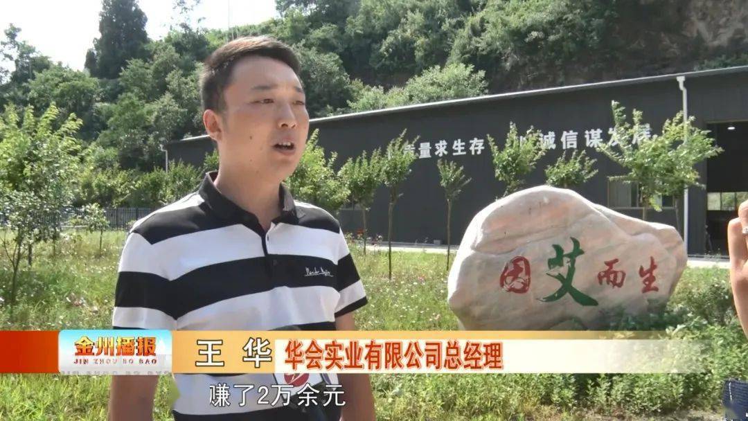 艾草赚钱吗_致富经艾草_艾草产业怎么做最挣钱