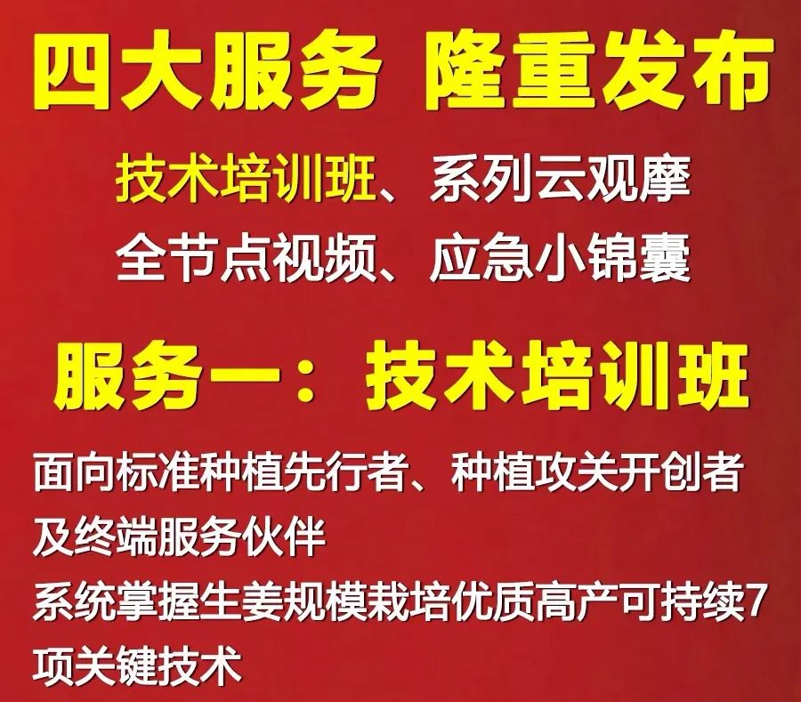 种植姜的技术视频_种姜教程视频_大姜种植技术视频大全