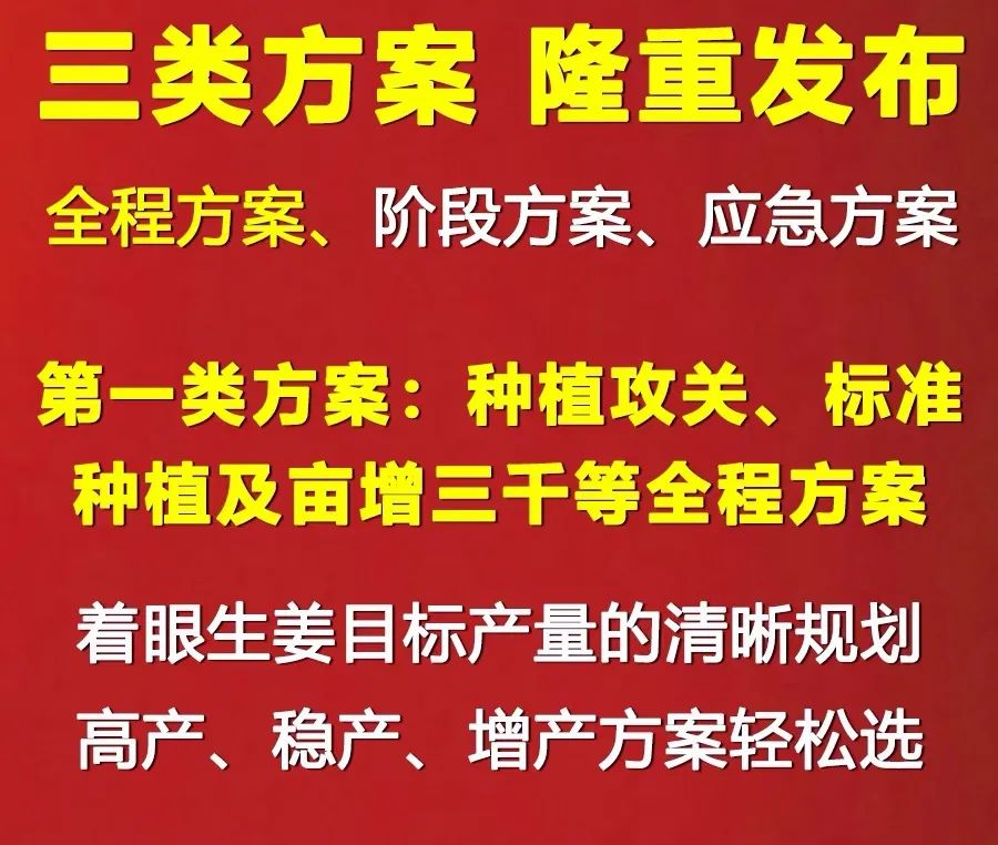 种姜教程视频_种植姜的技术视频_大姜种植技术视频大全
