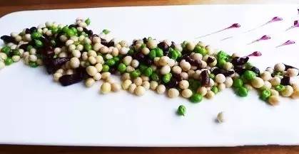 荷兰豆养殖专家_荷兰豆致富经_荷兰豆种植效益