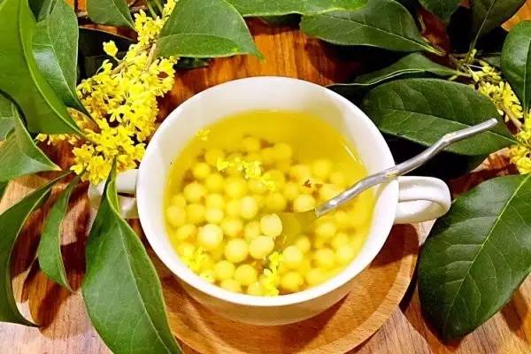 荷兰豆致富经_荷兰豆养殖专家_荷兰豆种植效益