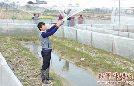 茅山革命老区的创业之星罗子攀