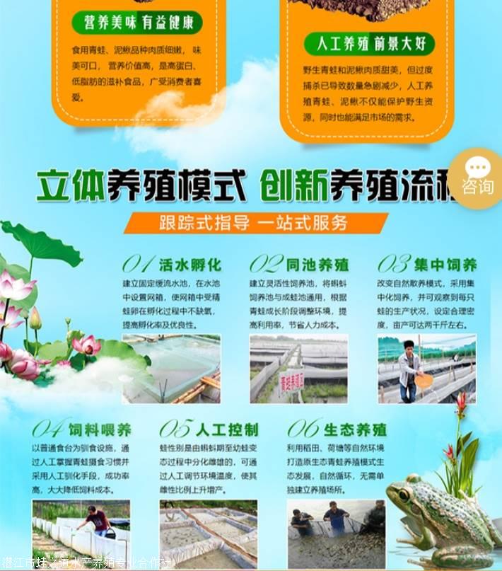 蟾蜍特种养殖技术_蟾蜍特种养殖技术_蟾蜍特种养殖技术