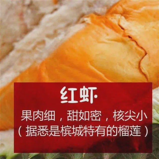 种植榴莲的方法_种植榴莲大全技术与管理_榴莲种植技术大全