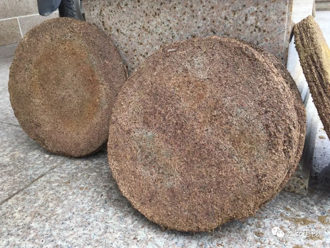 致富种植树方法图片_致富树种植方法_致富种植树方法视频