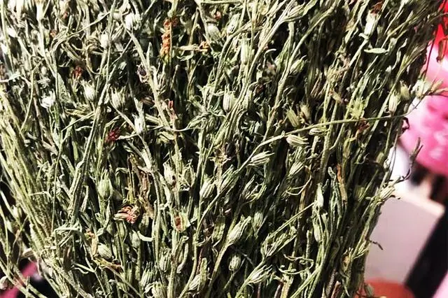 种植独脚金致富_孝感农业致富种植各种水果网_四季蒜苗种植致富
