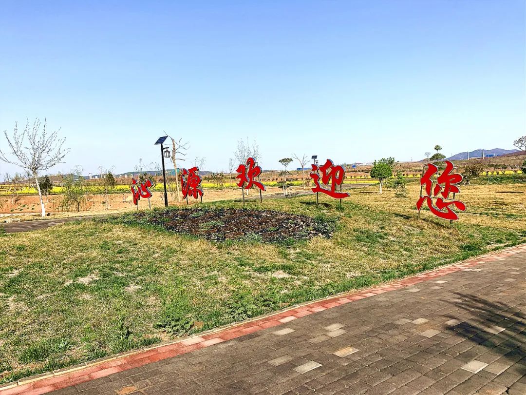 5种名贵树种花卉盆景_种名贵树有哪些好处_盆景名贵树种种植致富项目