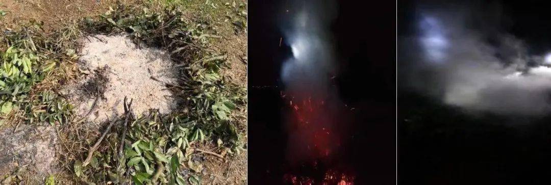 花卉大棚种植技术_花卉大棚种植技术规程_花卉大棚设施