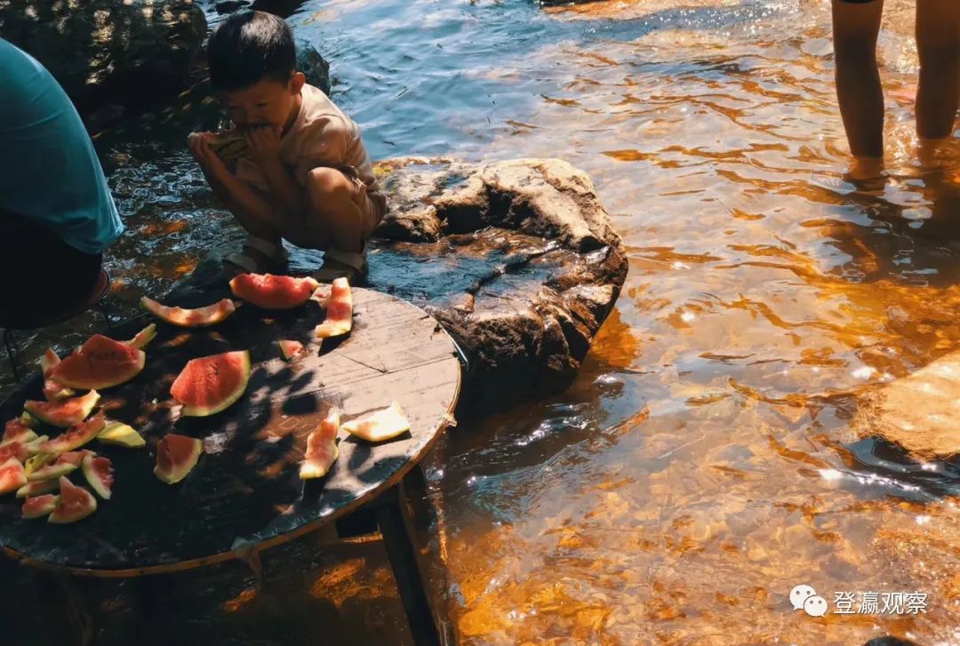 南通种植什么致富_南通种植什么农作物_南通致富种植园地址