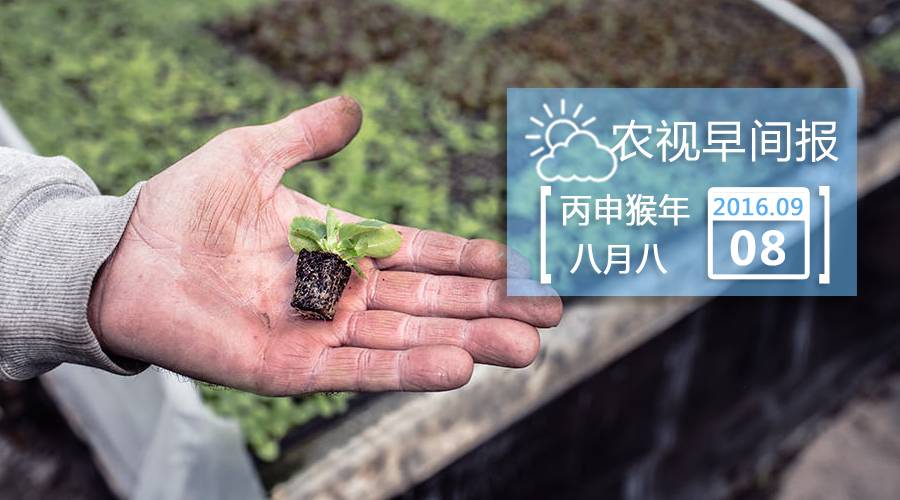 致富经袁正洋养殖蟾蜍_致富经袁正洋养殖蟾蜍_致富经袁正洋养殖蟾蜍