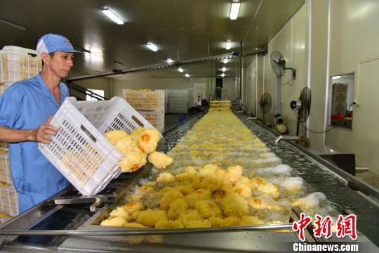 科技引领福建尤溪食用菌产业升级  助力农民脱贫致富