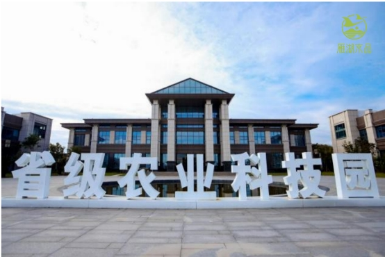 雁湖京品——从“日照蓝莓”特色农产品到农业产业数字化的转型升级