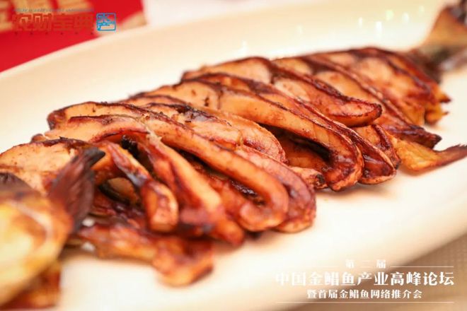 鮰鱼网箱养殖_网箱养鱼技术视频_鳊鱼网箱养殖技术