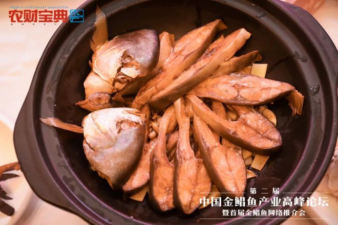 鮰鱼网箱养殖_网箱养鱼技术视频_鳊鱼网箱养殖技术