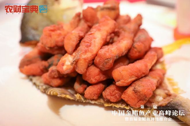 鮰鱼网箱养殖_鳊鱼网箱养殖技术_网箱养鱼技术视频