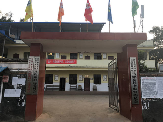 致富乡村振兴路_乡村致富经_致富乡村电视剧