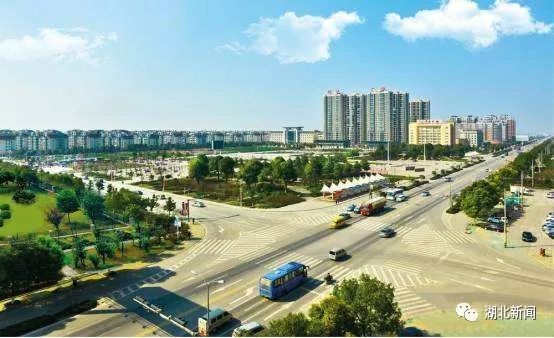 湖北渔业养殖基地_湖北养殖鱼基地_湖北渔业养殖致富