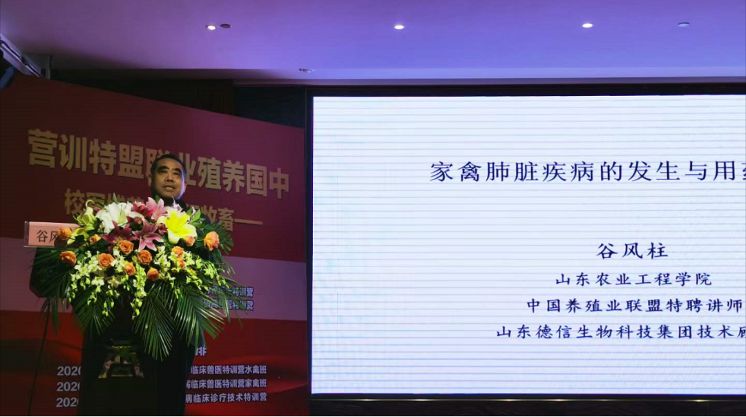 种番鸭饲养管理技术_种番鸭冬季养殖技术_冬天养番鸭用什么保温