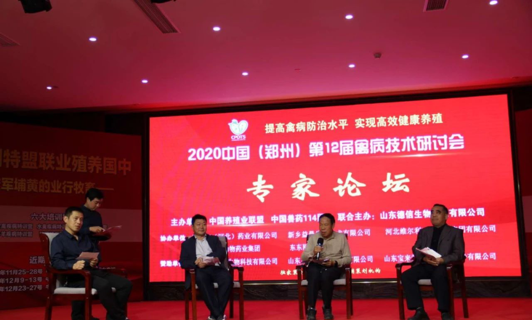 种番鸭饲养管理技术_冬天养番鸭用什么保温_种番鸭冬季养殖技术