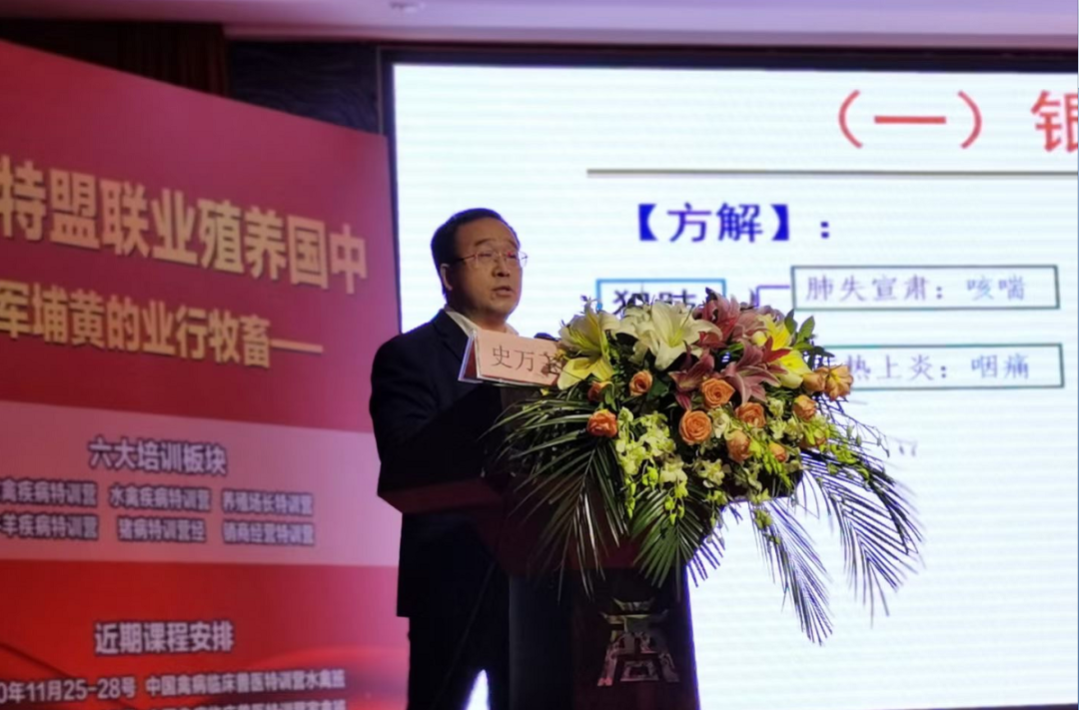 种番鸭饲养管理技术_种番鸭冬季养殖技术_冬天养番鸭用什么保温