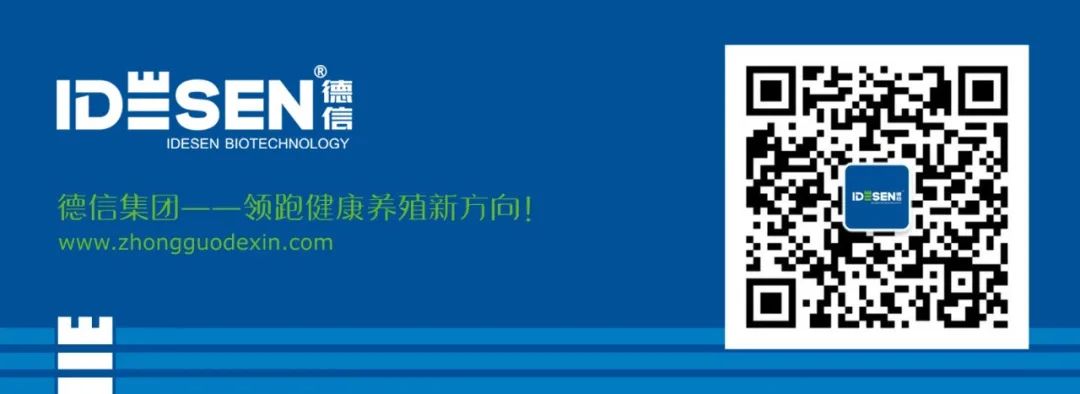 种番鸭冬季养殖技术_种番鸭饲养管理技术_冬天养番鸭用什么保温