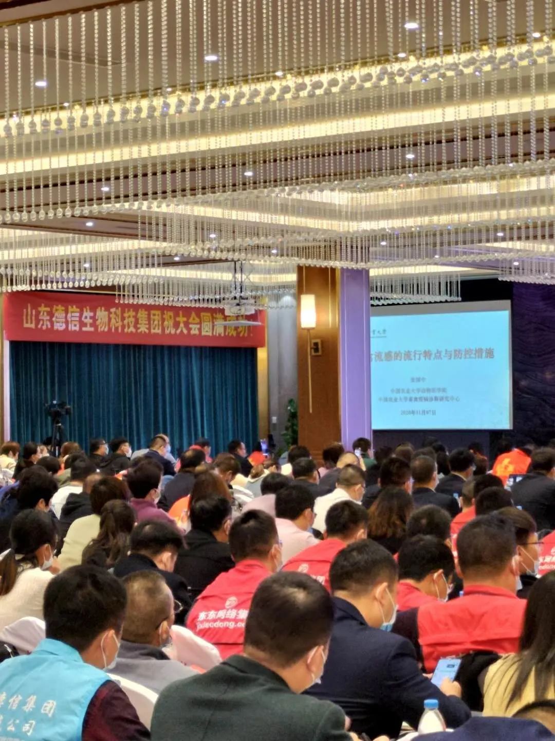 冬天养番鸭用什么保温_种番鸭饲养管理技术_种番鸭冬季养殖技术