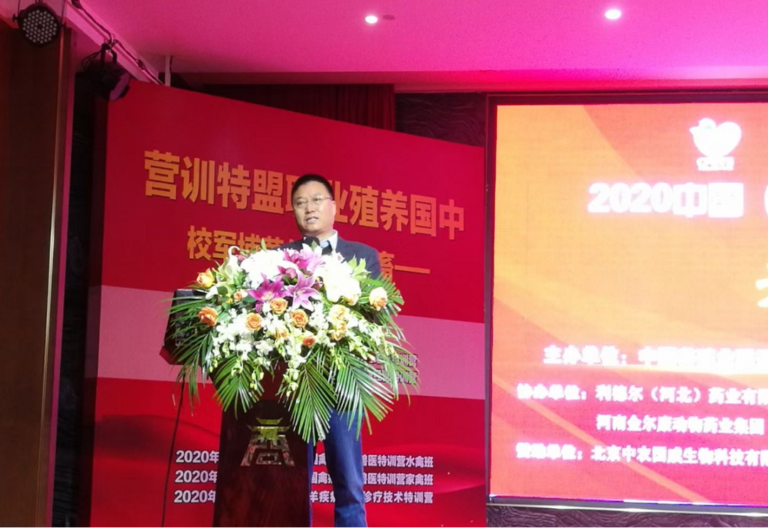 冬天养番鸭用什么保温_种番鸭冬季养殖技术_种番鸭饲养管理技术