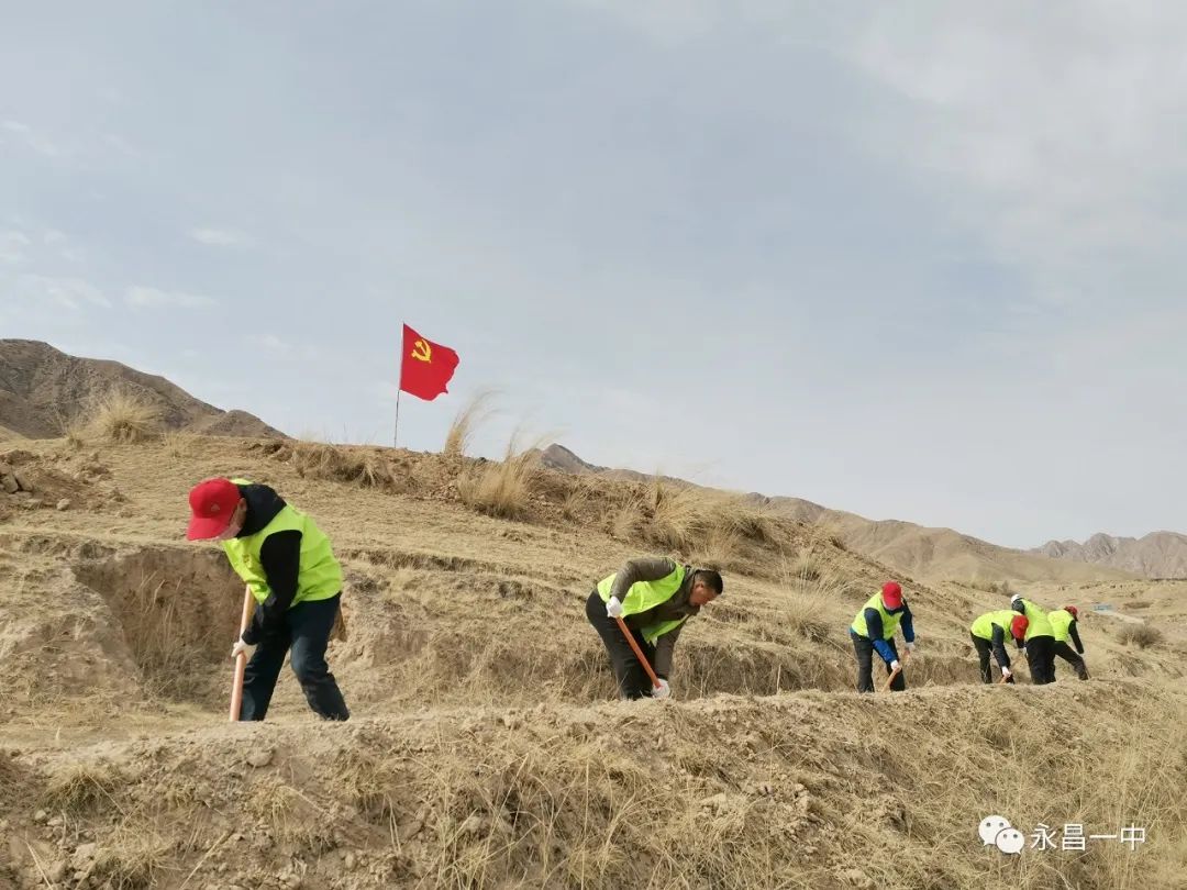 一个人如何种植致富树_种树致富全部视频_致富种植树个人总结