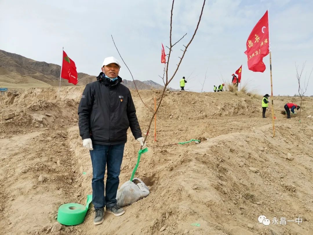 致富种植树个人总结_一个人如何种植致富树_种树致富全部视频