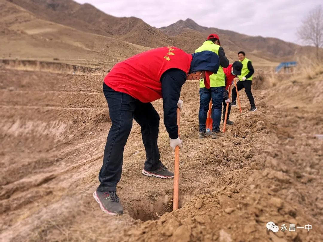 致富种植树个人总结_一个人如何种植致富树_种树致富全部视频