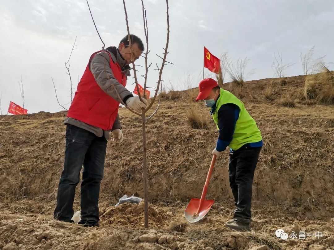 一个人如何种植致富树_致富种植树个人总结_种树致富全部视频