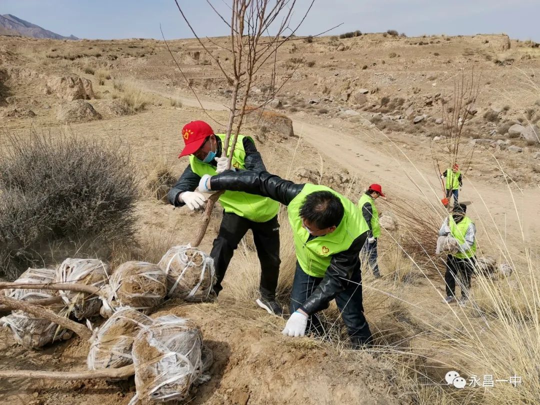 种树致富全部视频_致富种植树个人总结_一个人如何种植致富树