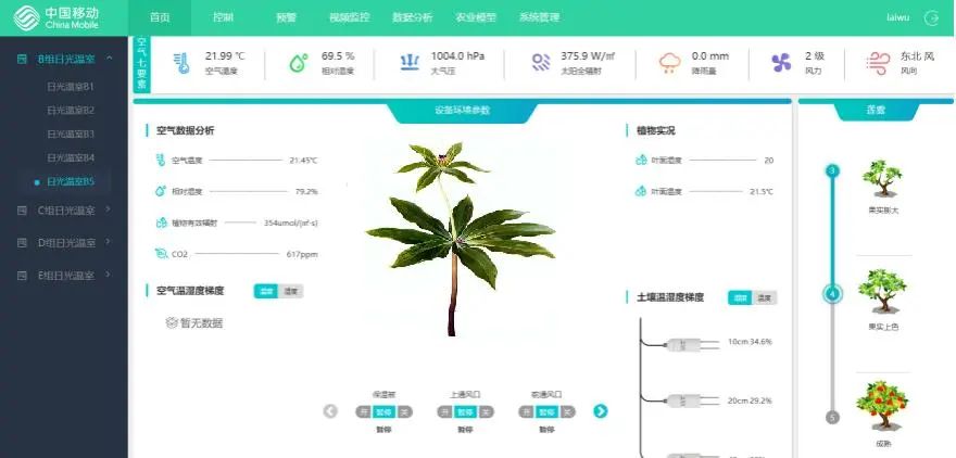 致富养殖马蜂图片_致富养殖马蜂怎么样_致富经马蜂养殖