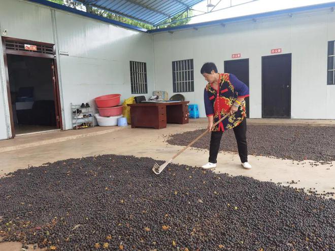 养虾致富经视频_致富经养殖虾_养殖虾致富视频