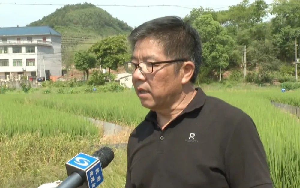视频养殖稻田养甲鱼技术大全_稻田养甲鱼养殖技术视频_稻田养甲鱼养殖技术在视频