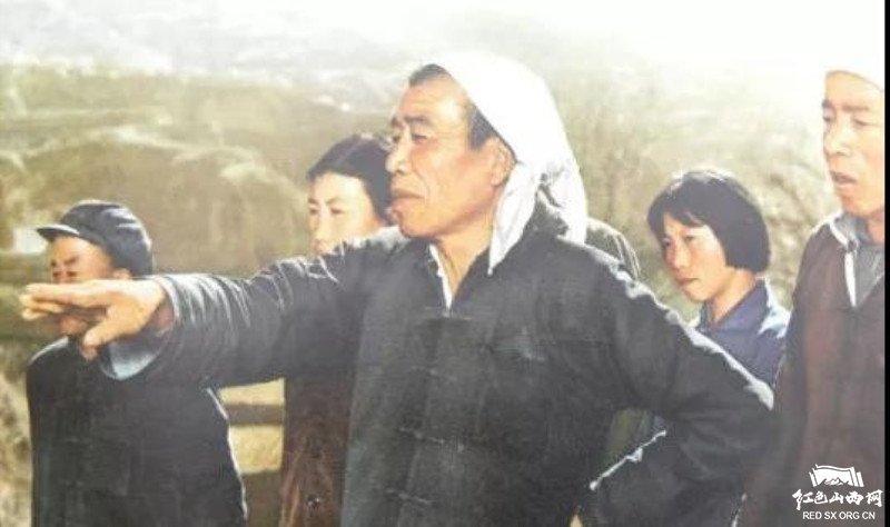 核桃致富报道_致富经陈燕核桃_山东陈燕薄皮核桃基地
