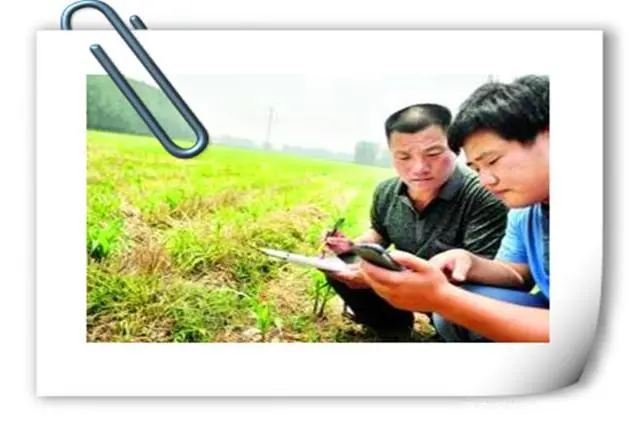 2020年致富金点子_致富好项目种植_农村种植致富新点子图片