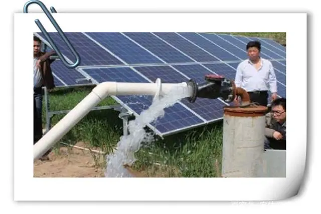 致富好项目种植_2020年致富金点子_农村种植致富新点子图片