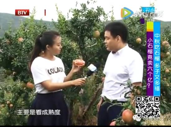 致富经卖水果创业视频_卖水果致富的人_短视频卖水果