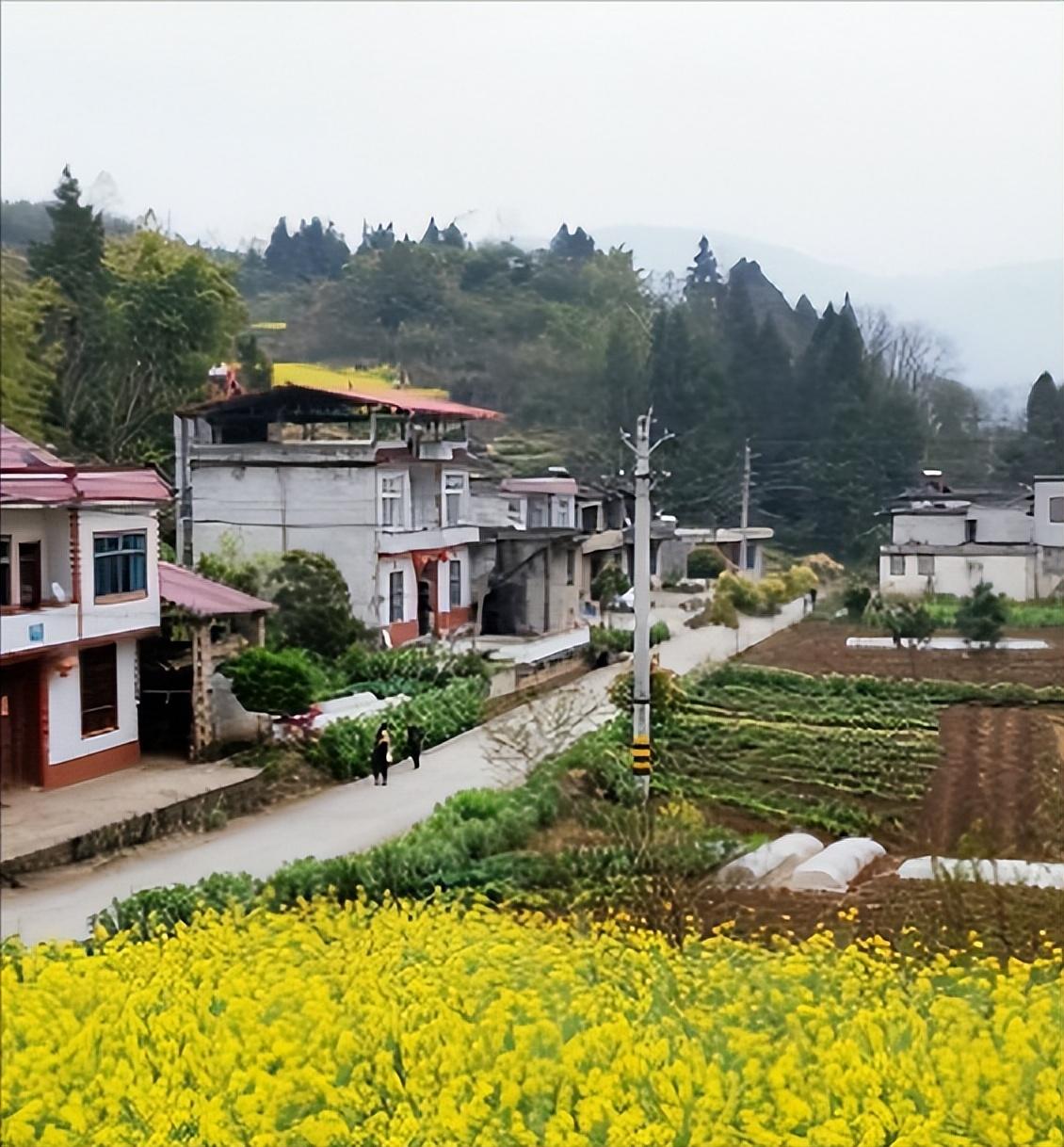 农村6个新兴的致富门路，小富靠勤，大富靠命！你知道几个？