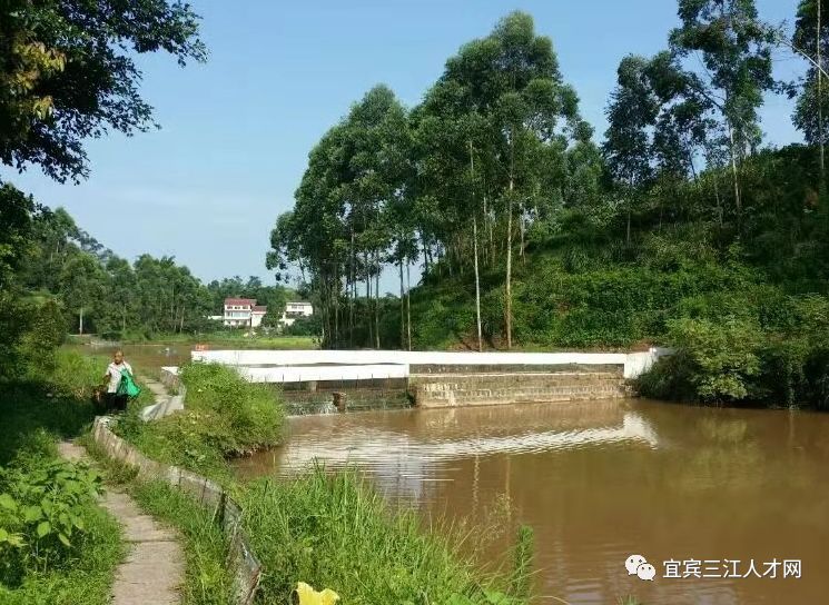 致富经活水养鱼视频_活水养殖场_养殖致富活水