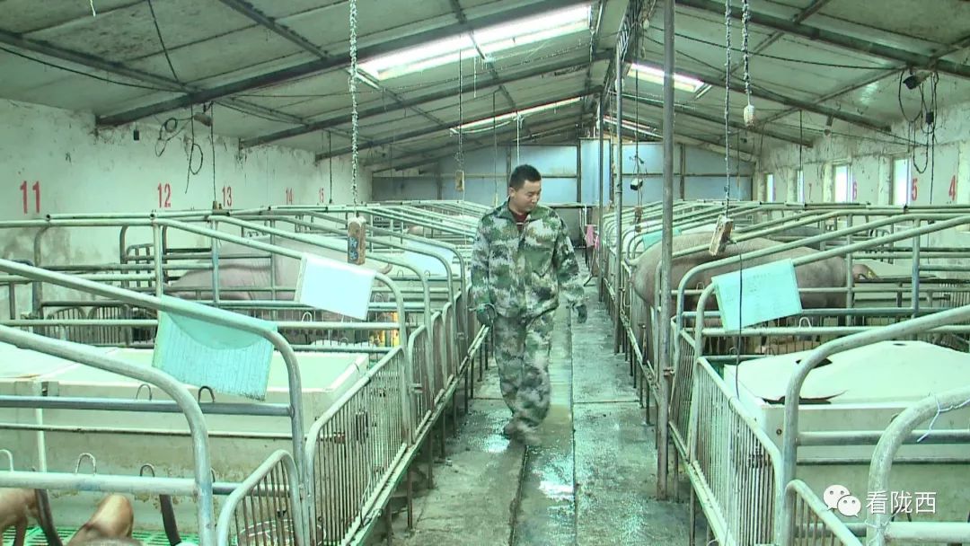 活水养殖技术_致富经活水养鱼视频_养殖致富活水