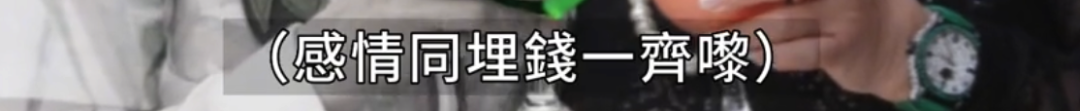 致富经2养龟视频_致富经龟_致富经龟痴