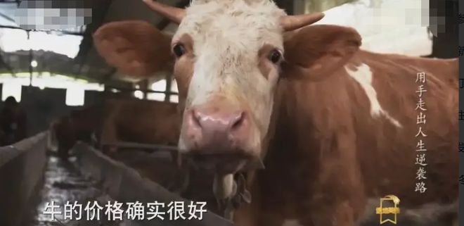致富经靠手走路潘远香_潘远香视频_潘远香现在结婚了吗