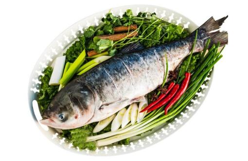 网箱养殖胖头鱼技术_胖头鱼的养殖_胖头鱼养鱼视频